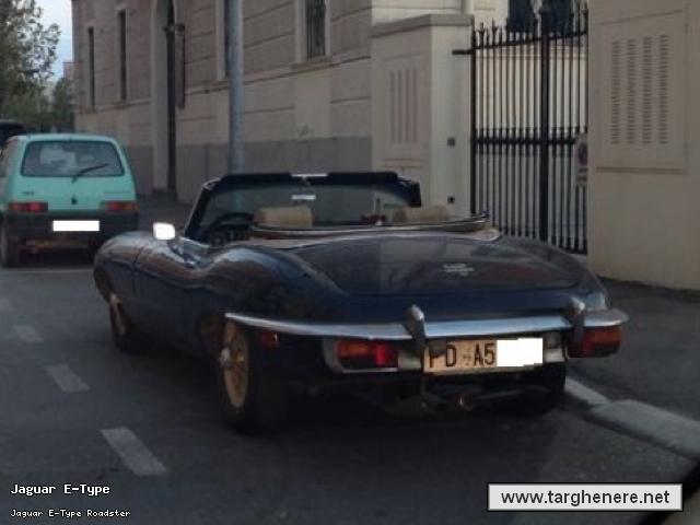 jaguaretypespideramaretto20140924.jpg