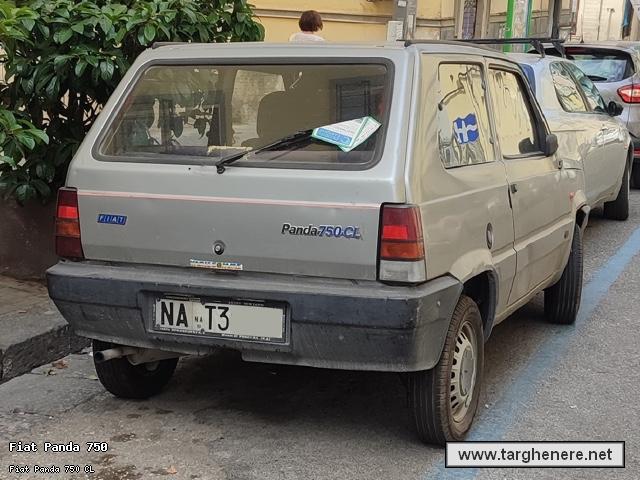 fiatpandacaptain20240828.jpg