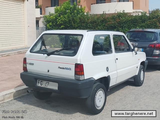 fiatpanda1600gt20241022.jpg